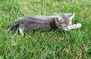 IMG_2403.jpg IMG_2403.jpg