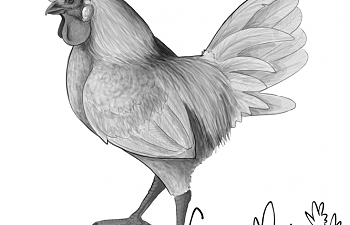 bleu2resize.png bleu2resize.png