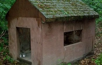 newchickenhouse-1.jpg newchickenhouse-1.jpg