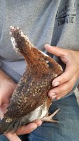20180427_193232.jpg
