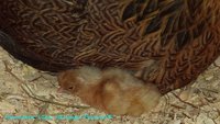 DSC01610.JPG