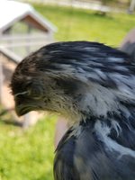20180428_143208.jpg