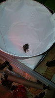 20180428_162055.jpg