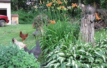 8693_img_0318.jpg 8693_img_0318.jpg