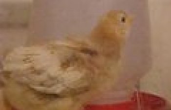 th_Day13c.jpg th_Day13c.jpg