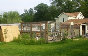 Chicken Coop 3