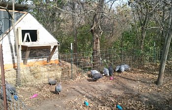 2011-10-23135101.jpg 2011-10-23135101.jpg