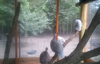 2011-09-25160354.jpg 2011-09-25160354.jpg