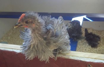 2011-06-20_18-12-34_101.jpg