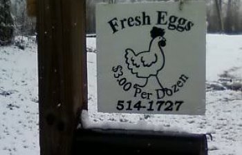 fresheggs.jpg