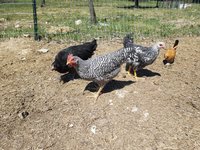 20180429_105701.jpg