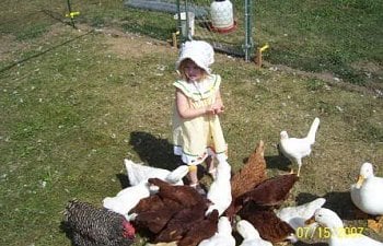 MakeenaFeedingChickens.jpg MakeenaFeedingChickens.jpg