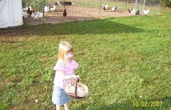 EggTime.jpg EggTime.jpg