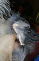 20180429_153644-1.jpg 20180429_153644-1.jpg