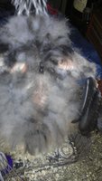 20180429_153635.jpg 20180429_153635.jpg