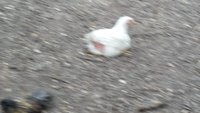 20180429_180153.jpg 20180429_180153.jpg