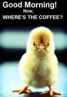 Coffee.jpg