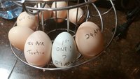 1st.Blue.Egg.29Apr18.jpg