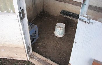 duck-hut-3.jpg duck-hut-3.jpg