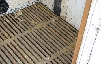 duck-hut-floor-1.jpg