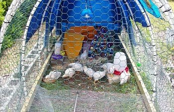 100_0275.jpg 100_0275.jpg