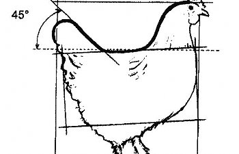 Maranshenstandard.jpg Maranshenstandard.jpg