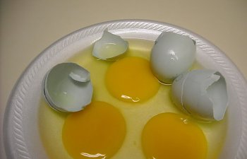 CulledUnfertile.jpg CulledUnfertile.jpg