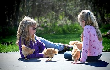 IMG_3475.jpg IMG_3475.jpg