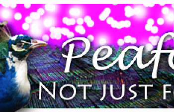 Peafowlnotjustforshow.png Peafowlnotjustforshow.png