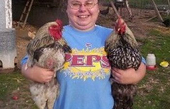 3524_melissawithtworoosters.jpg 3524_melissawithtworoosters.jpg