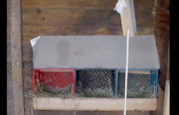nestboxes.jpg nestboxes.jpg