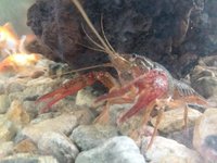 20180430_124134.jpg