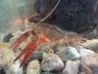 20180430_124141.jpg