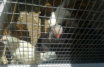 IMAG0149-1.jpg