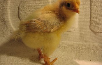 IMG_1708.jpg
