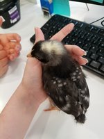 20180501_142126.jpg
