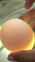 61971FA3-A5D1-4821-923A-A383B98A3E36.png