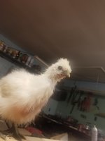 20180429_224024.jpg