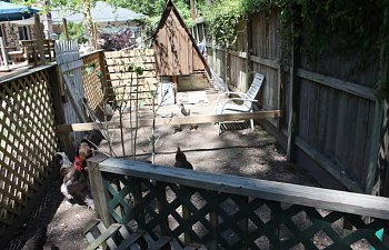IMG_1738.jpg IMG_1738.jpg