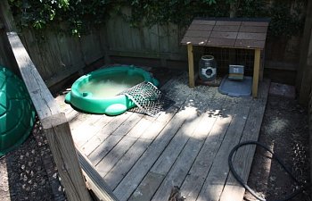 IMG_1737.jpg IMG_1737.jpg