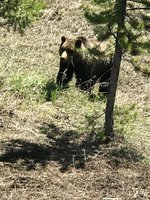 BA967AF1-0735-421C-9ACD-C67B3656046D.jpeg