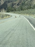 31F74510-0D67-49E3-B208-5C241F070849.jpeg