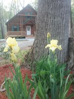 20180502_191819.jpg