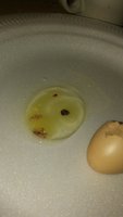 20180502_174353.jpg