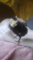 20180503_173926.jpg