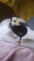 20180503_173925.jpg