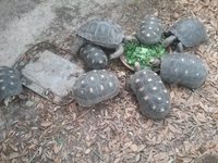 20160412_182513.jpg