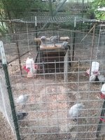 20180503_185518.jpg