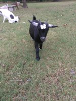 IMG_20171020_111730.jpg