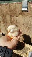 20180430_102555.jpg